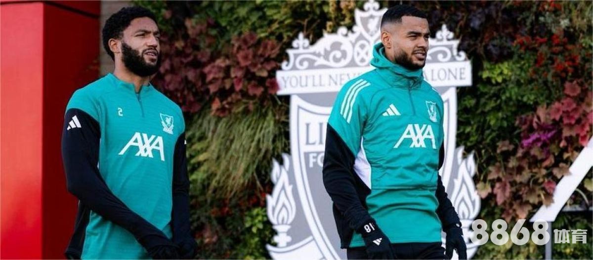 威廉希尔体育 - 2008德国vs西班牙